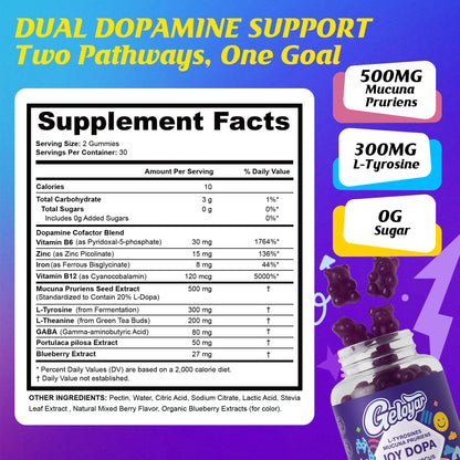 Geloyar Joy Dopa blueberry flavored gummies for daily motivation and mental clarity.