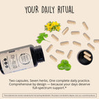 Happy Healthy Hippie Joy Filled herbal nootropics for mental clarity