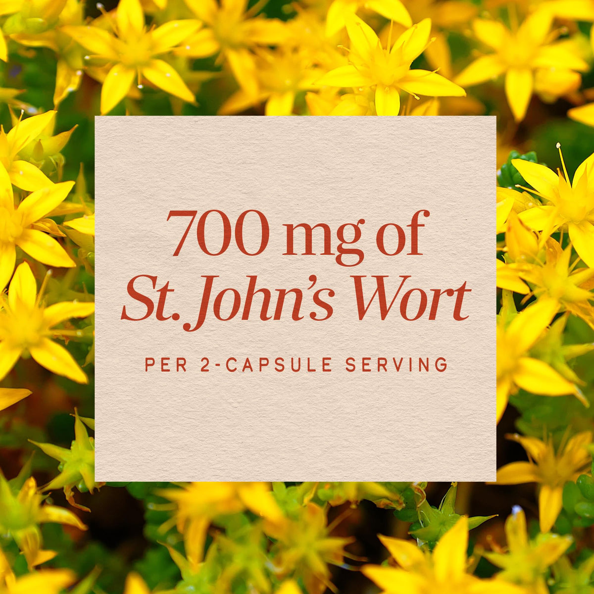 Nature's Way St. John's Wort 180 vegan capsules bottle side view
