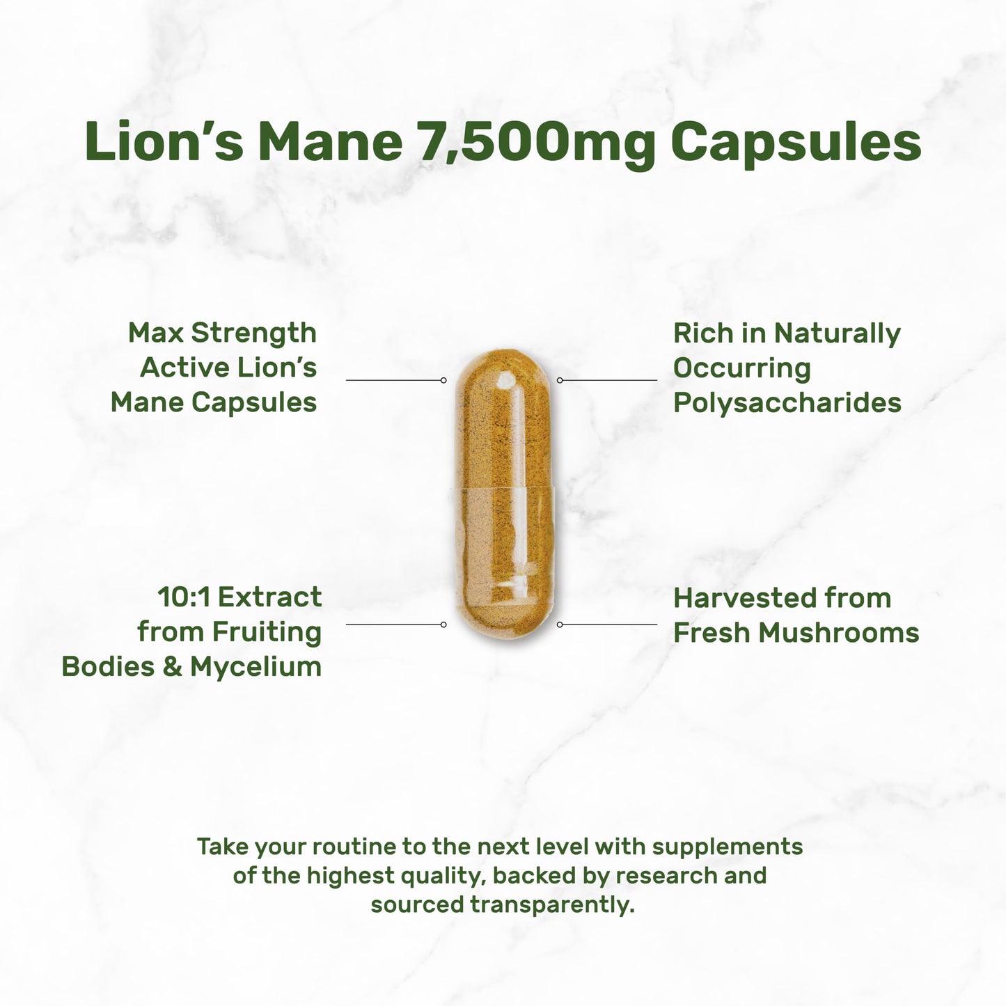 Premium immune and brain support mushroom extract dietary capsules lifestyle presentation