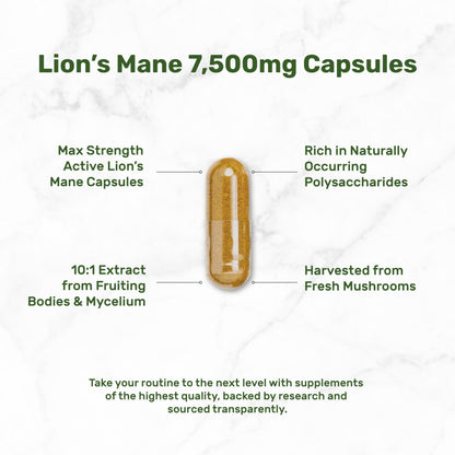 Premium immune and brain support mushroom extract dietary capsules lifestyle presentation