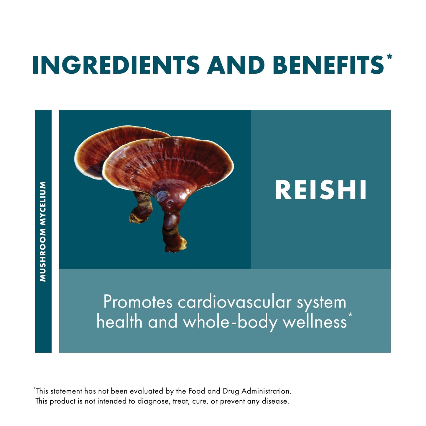 Host Defense non-GMO vegan certified organic mushroom mycelium bottle