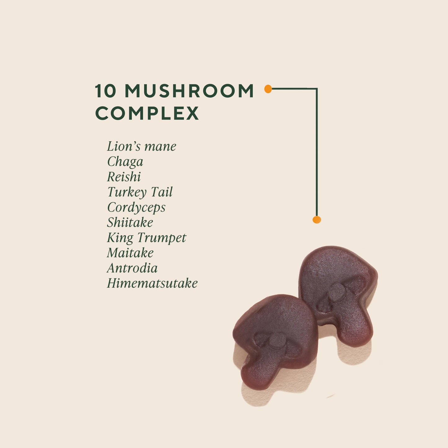 Supplement facts and 10 mushroom complex ingredients on the back label of Om Mushroom Superfood