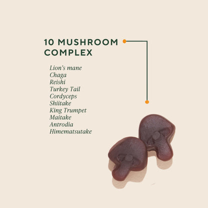Supplement facts and 10 mushroom complex ingredients on the back label of Om Mushroom Superfood