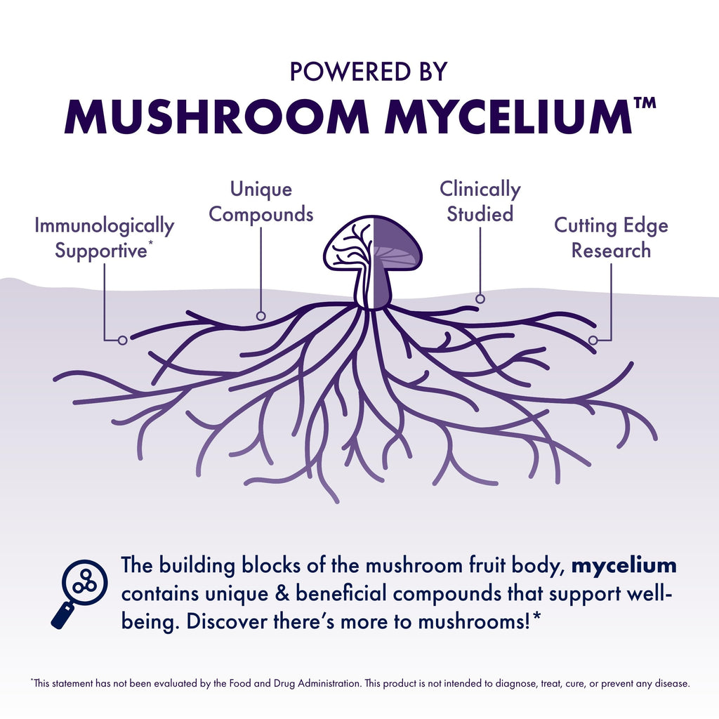 Certified organic vegan mushroom mycelium powder for daily focus