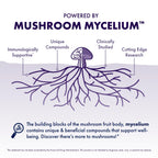 Certified organic vegan mushroom mycelium powder for daily focus