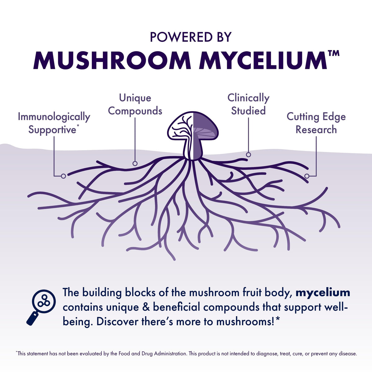 Certified organic vegan mushroom mycelium powder for daily focus