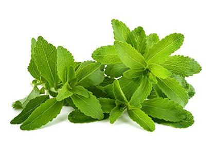 Dried green Stevia rebaudiana loose leaves spilled next to the Nature Tea package.