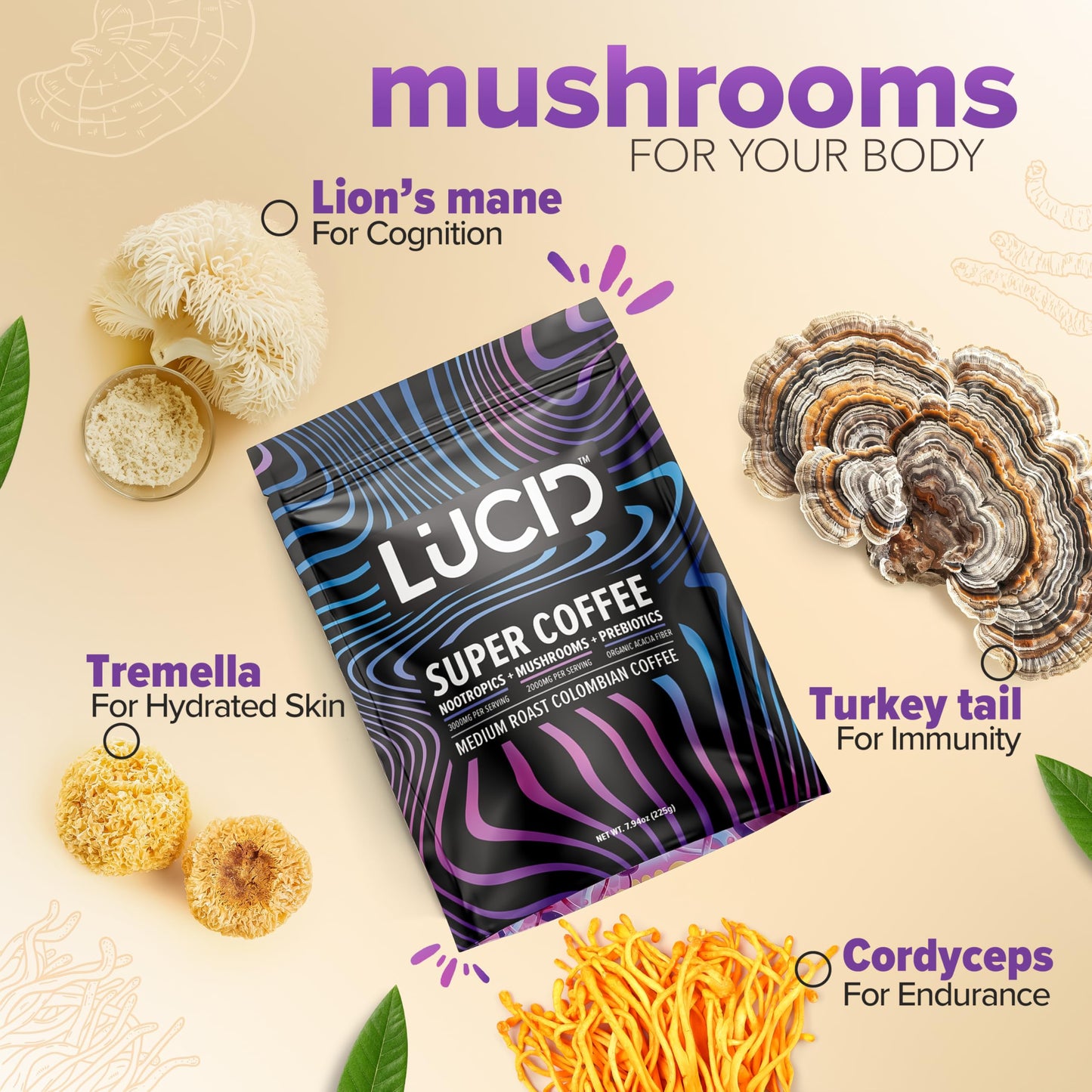 Back label of Lucid medium roast functional mushroom coffee showing ingredients