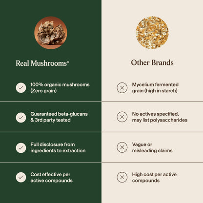 Real Mushrooms pure fruiting body extract capsules without grain fillers