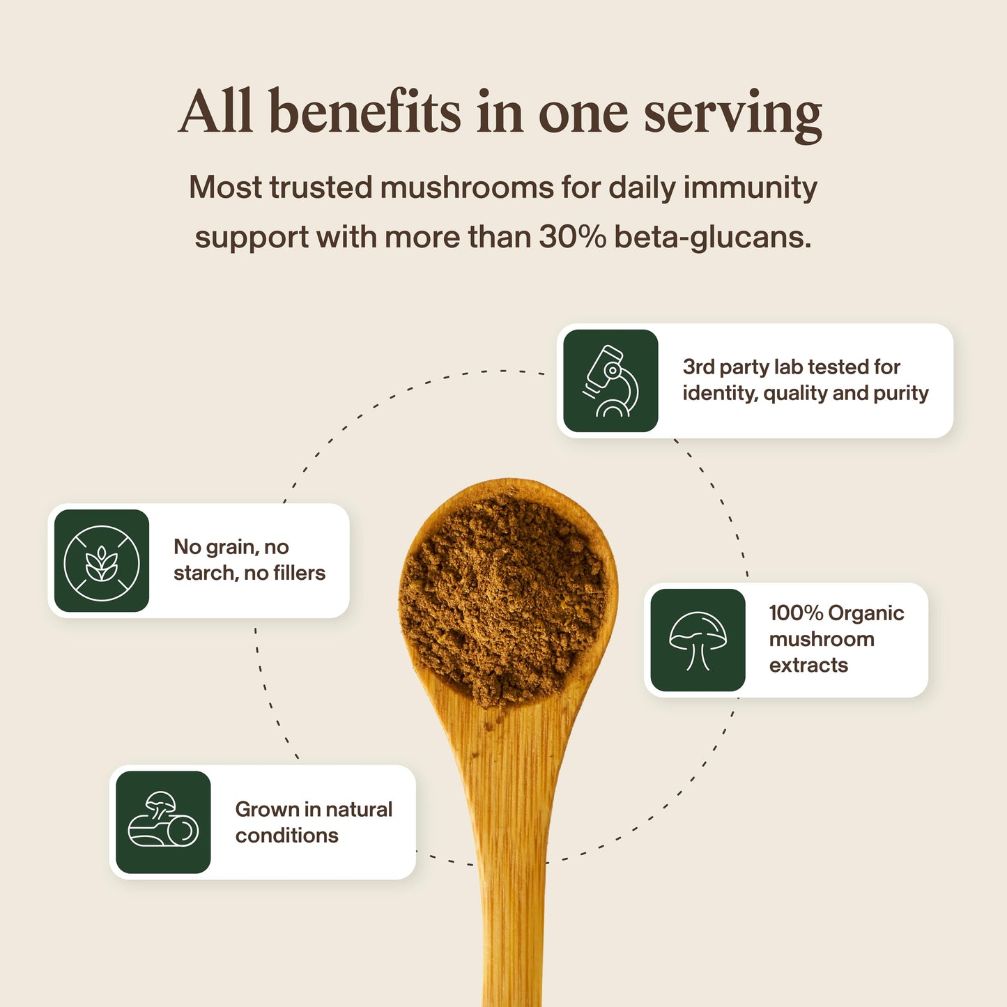 Daily immune boosting Turkey Tail mushroom capsules lifestyle display