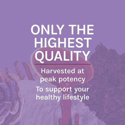 Premium imported Host Defense Lions Mane Extract product presentation