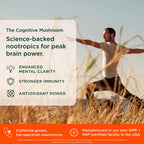 Premium plant based nootropic capsule bottle angle showcasing authentic USA sourced product