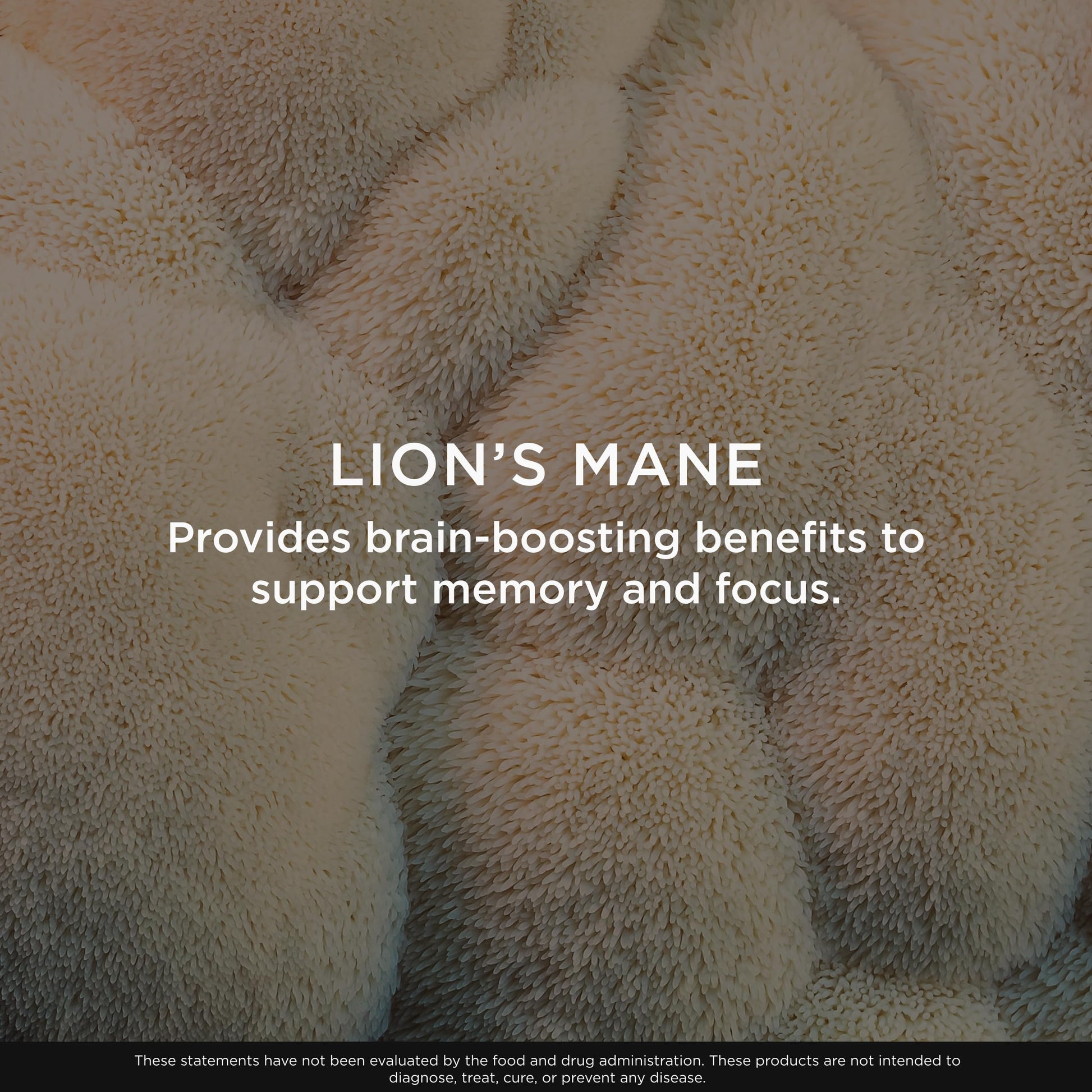 Lions mane dietary supplement bottle showing memory and mood support benefits
