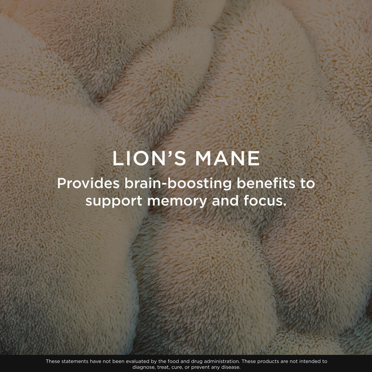 Lions mane dietary supplement bottle showing memory and mood support benefits