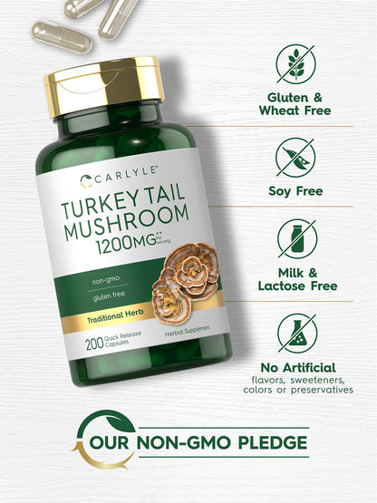 Close up of Carlyle non-GMO and gluten-free certified seals on the traditional Chinese wellness extract bottle