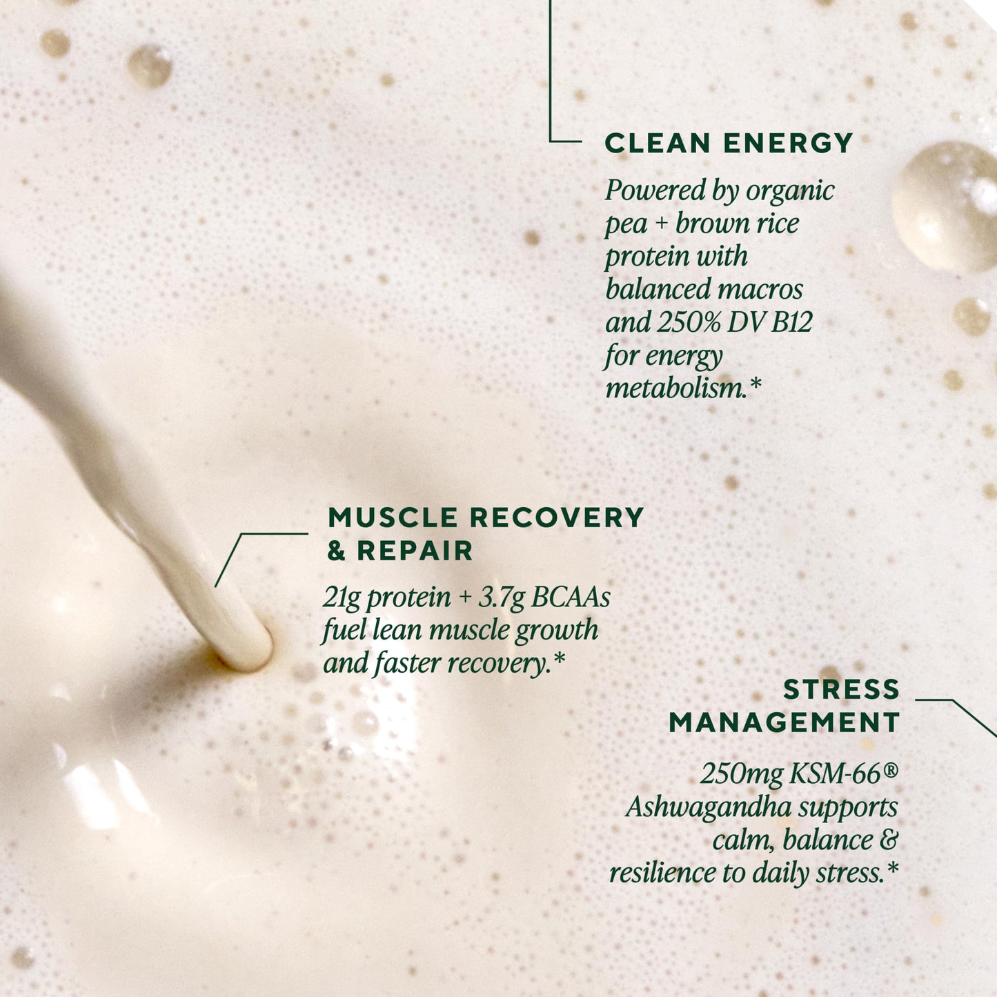 Organic ten mushroom master blend graphic on the back of vanilla protein pouch.