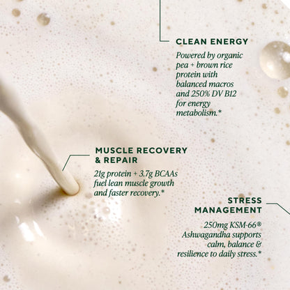 Organic ten mushroom master blend graphic on the back of vanilla protein pouch.