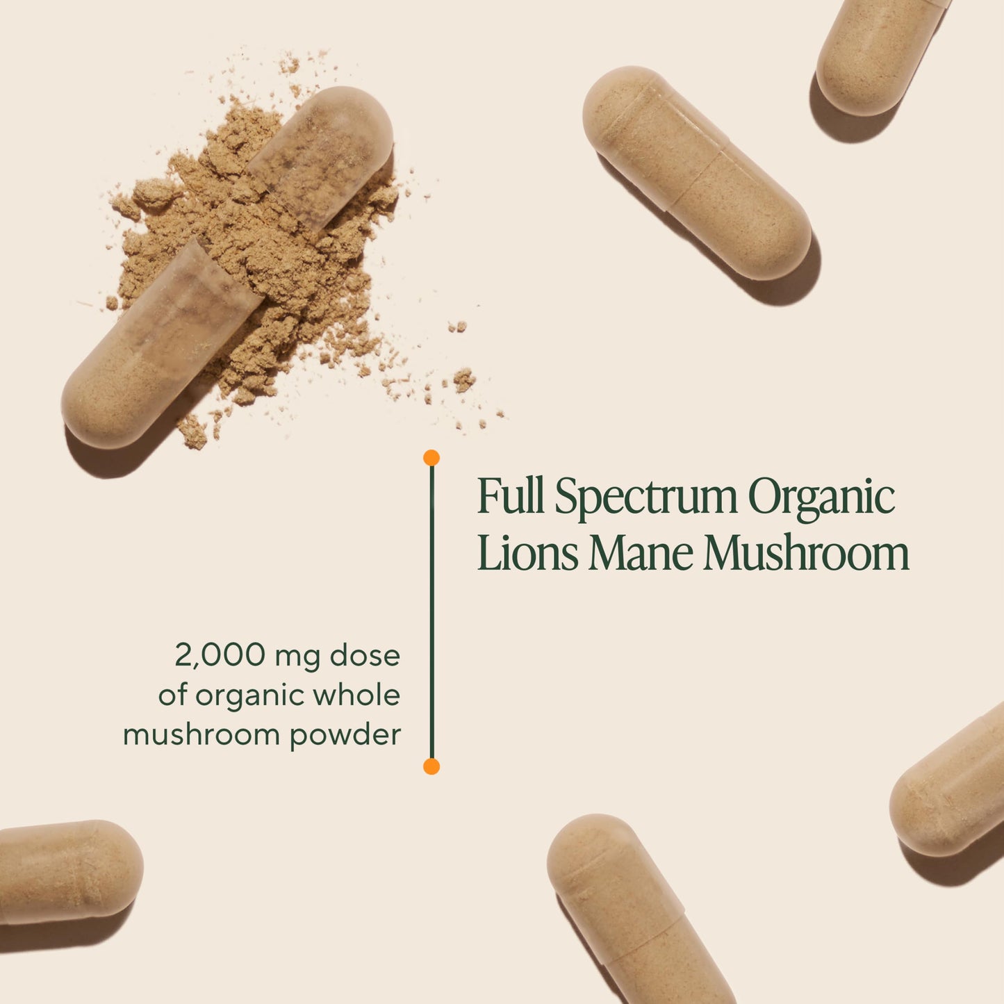 Om Mushroom Superfood lions mane one hundred and eighty vegetable capsules bottle packaging details