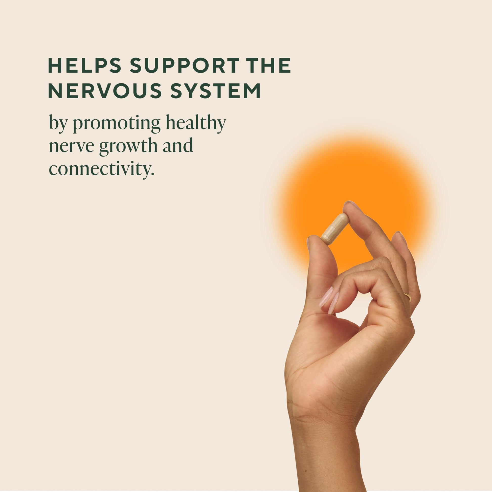 Authentic imported USA brain health supplement showing certified organic and non GMO labels