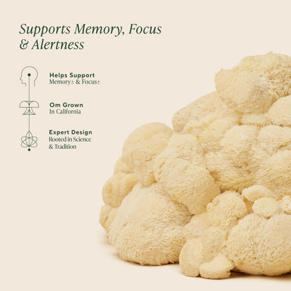 Supplement facts panel on the back of organic lions mane mushroom capsules bottle