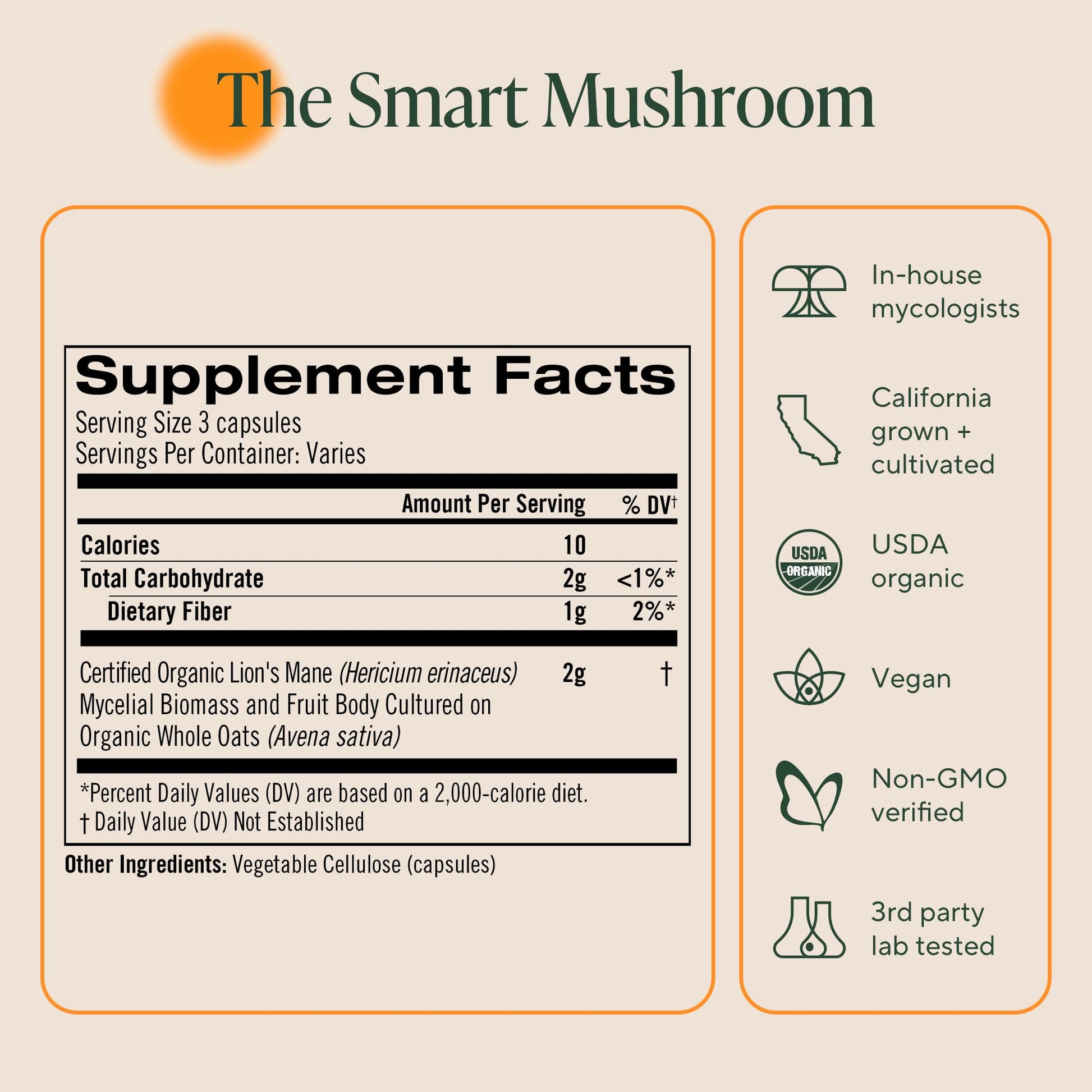 Om functional mushroom capsules lifestyle view for daily focus productivity and mental clarity