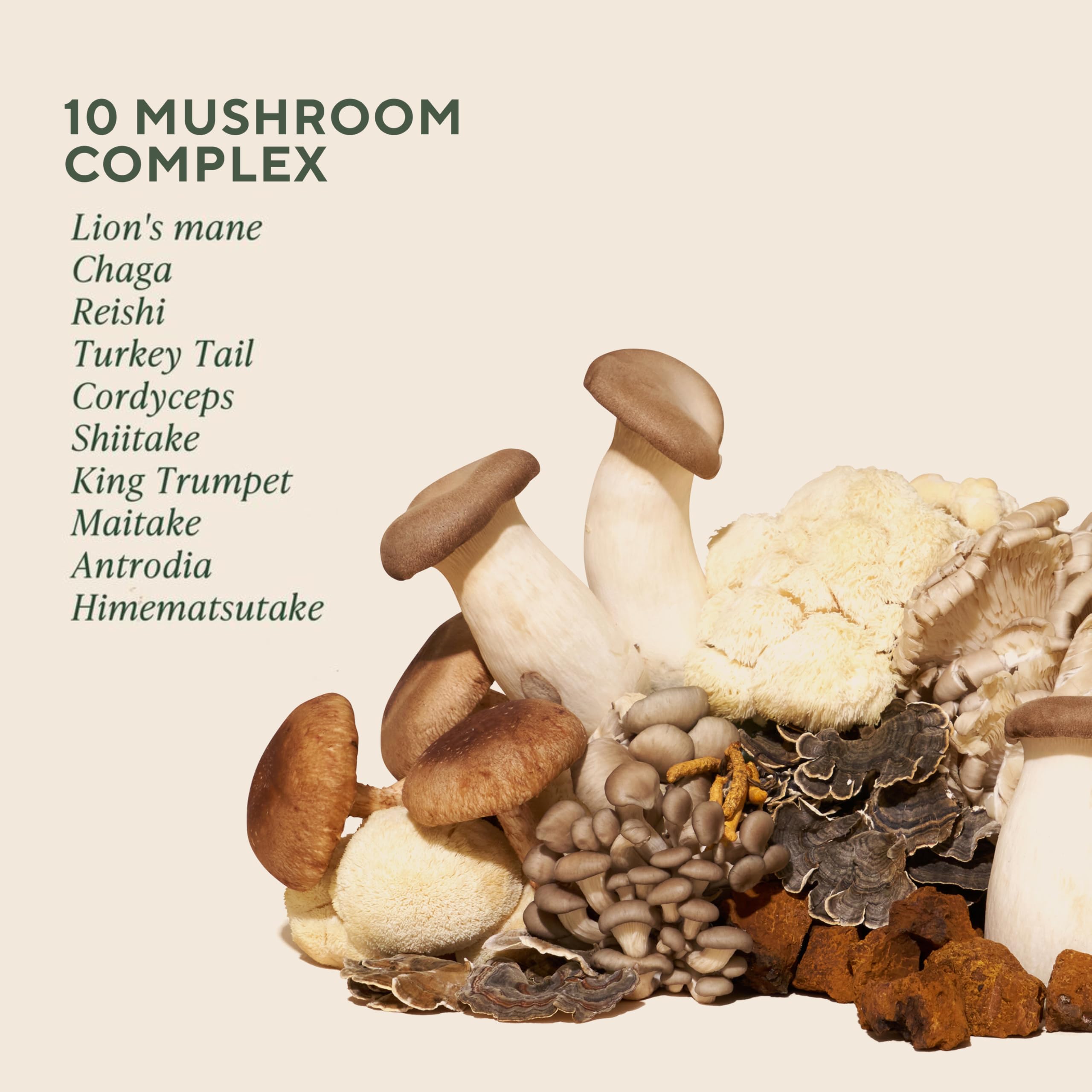 Om Mushroom and Ashwagandha Capsules back label showing certified organic ingredients list