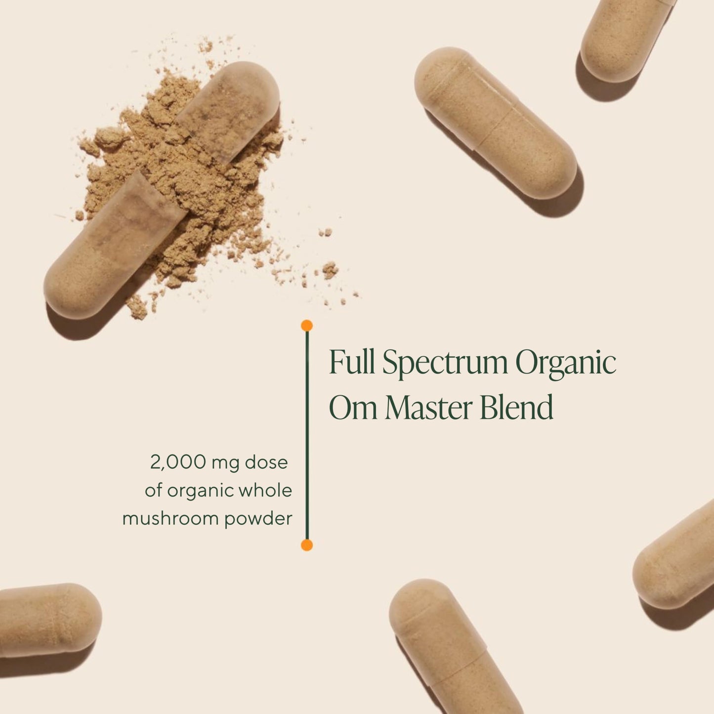 Premium USA imported organic mushroom complex supplement capsules for daily gut health