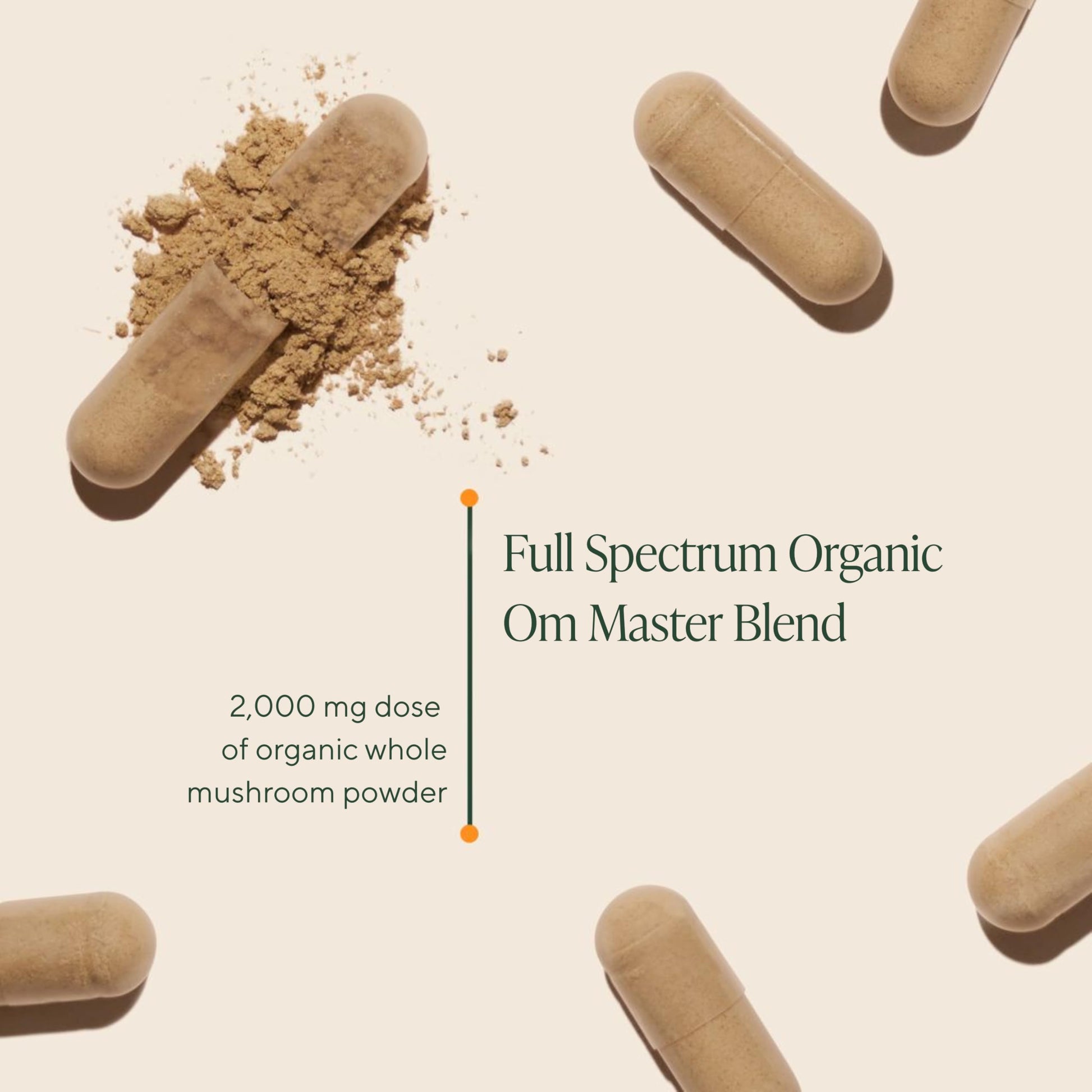 Premium USA imported organic mushroom complex supplement capsules for daily gut health