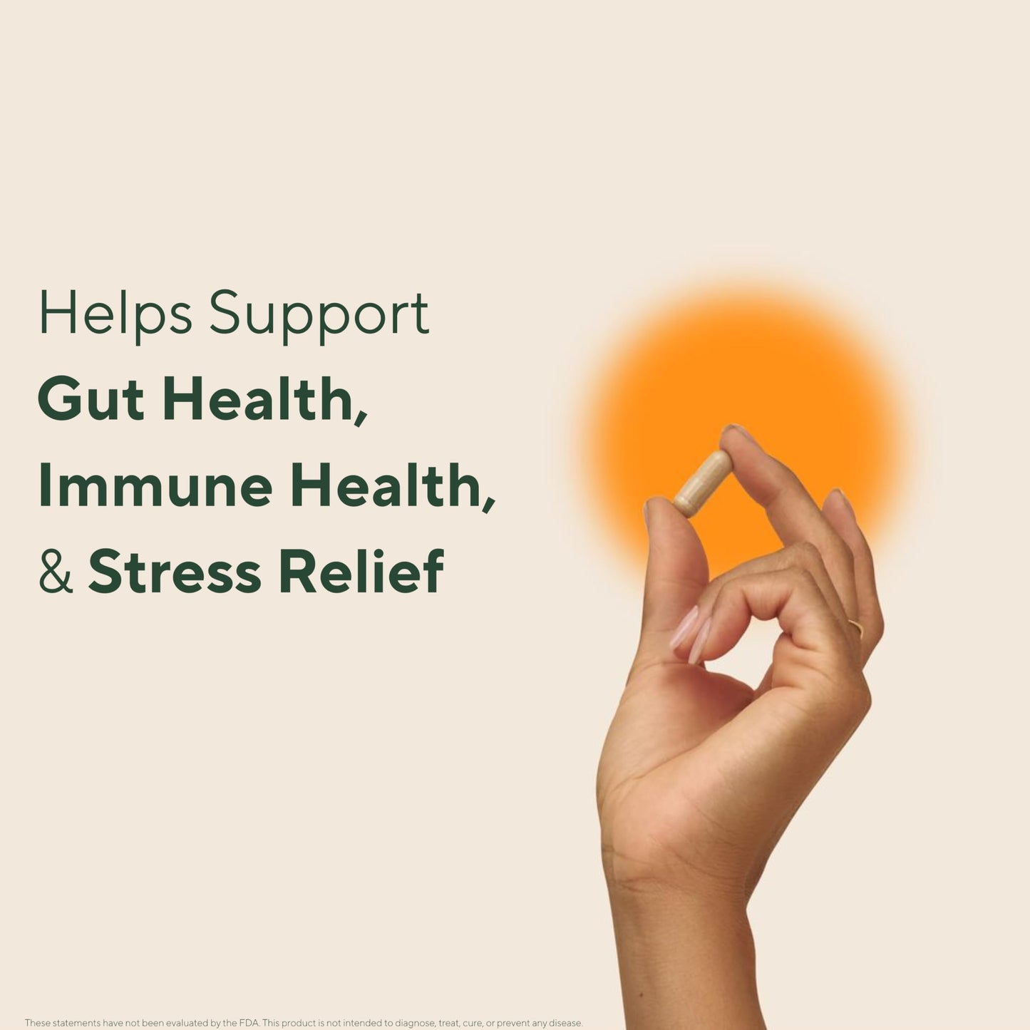 Om Master Blend ten mushroom daily wellness supplement capsules packaging details
