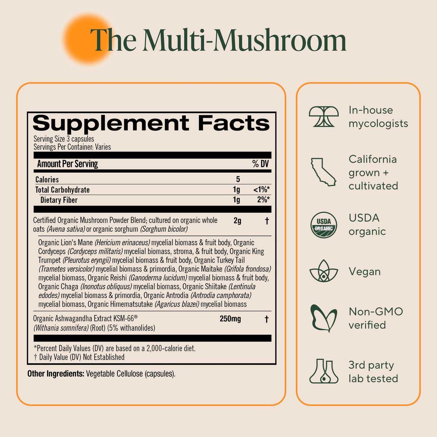 Vegan and non-GMO organic mushroom powder capsules supplement lifestyle shot