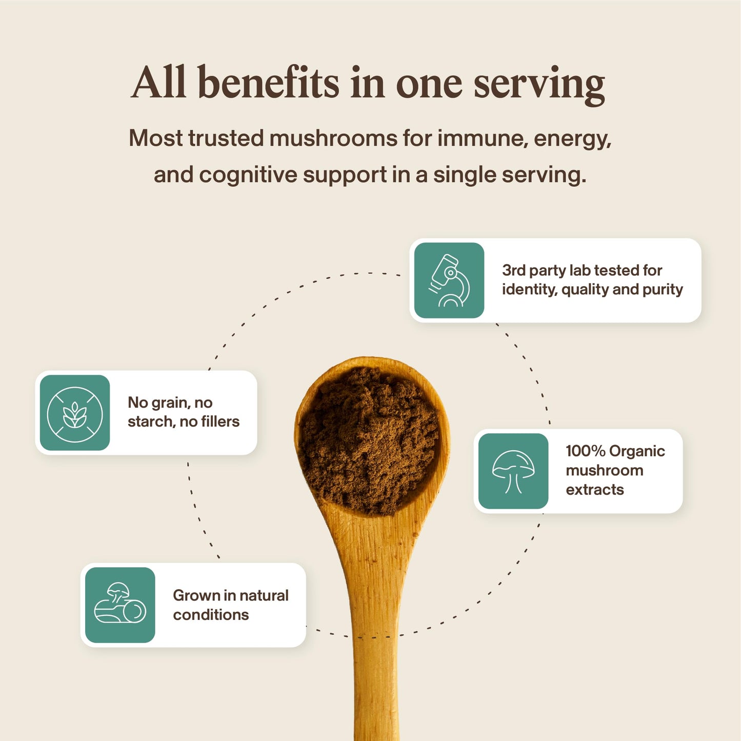 Pure mushroom fruiting bodies extract dietary supplement without grain fillers