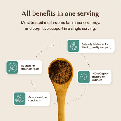Pure mushroom fruiting bodies extract dietary supplement without grain fillers