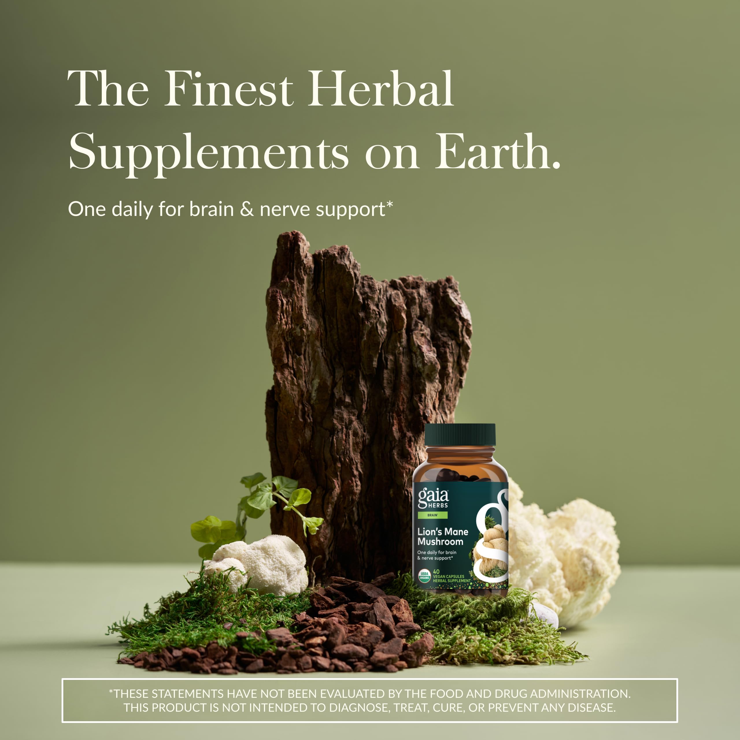 Gaia Herbs Lion's Mane Mushroom supplement nutritional facts and pure ingredients label