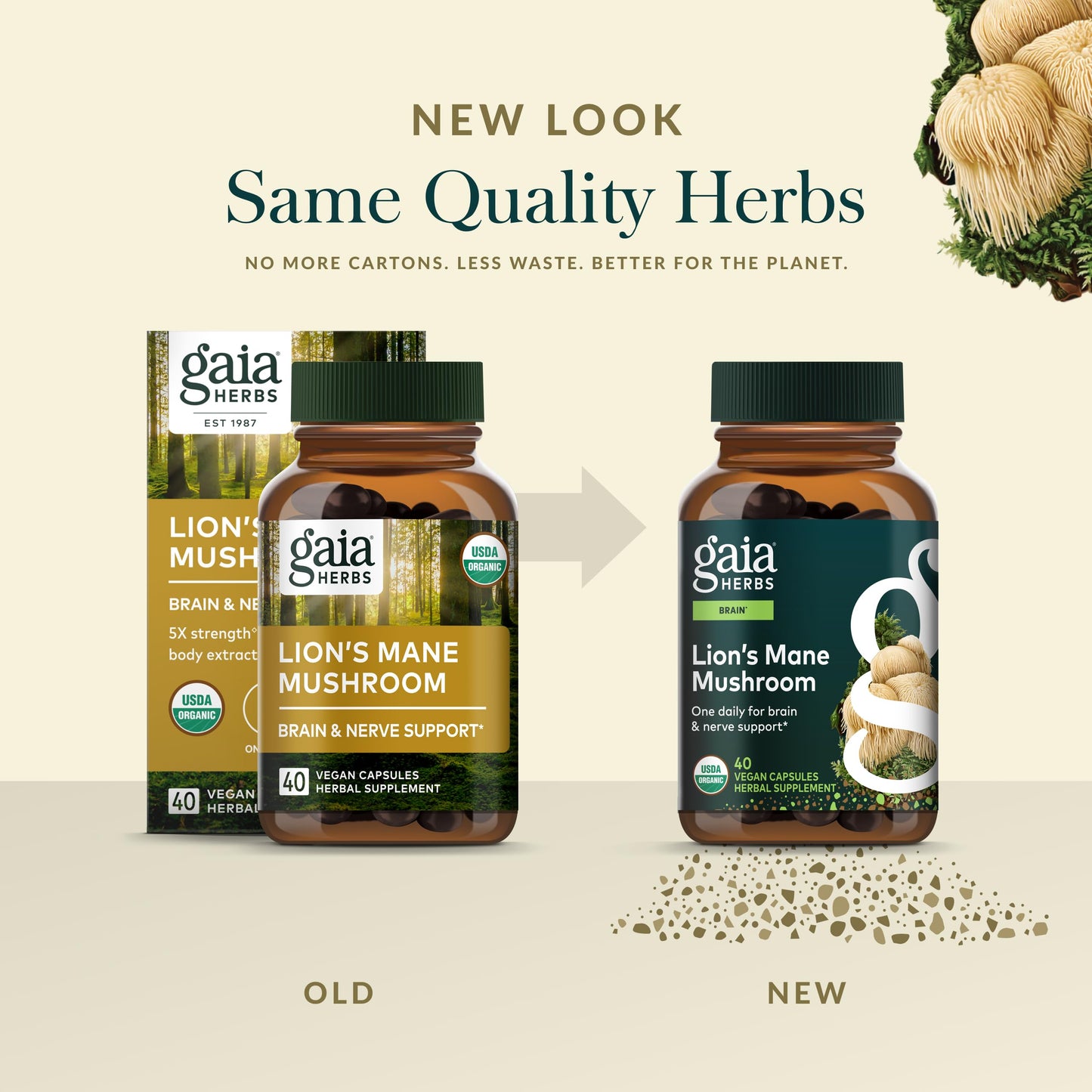 Gaia Herbs brain health supplement capsules displayed on a clean background