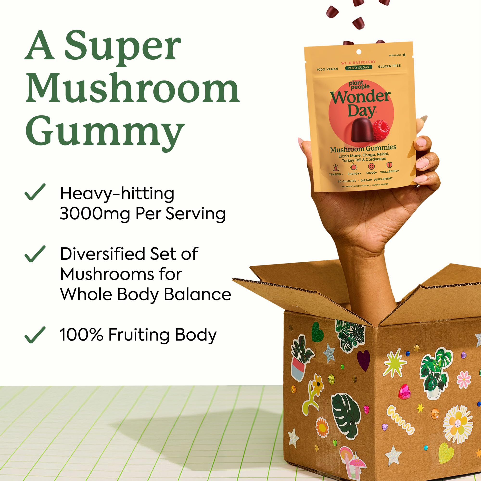 Plant People WonderDay zero sugar mushroom multi gummies in wild raspberry flavor