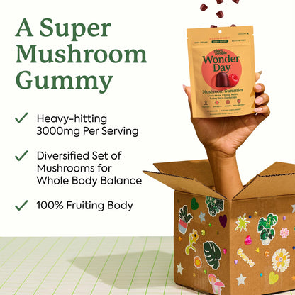 Plant People WonderDay zero sugar mushroom multi gummies in wild raspberry flavor
