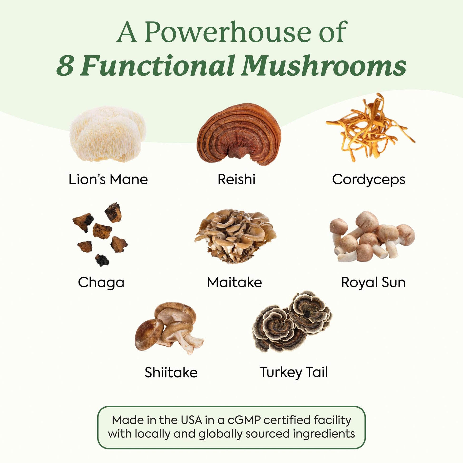 Nutritional facts and 10 mushroom blend ingredients on Plant People WonderDay bottle