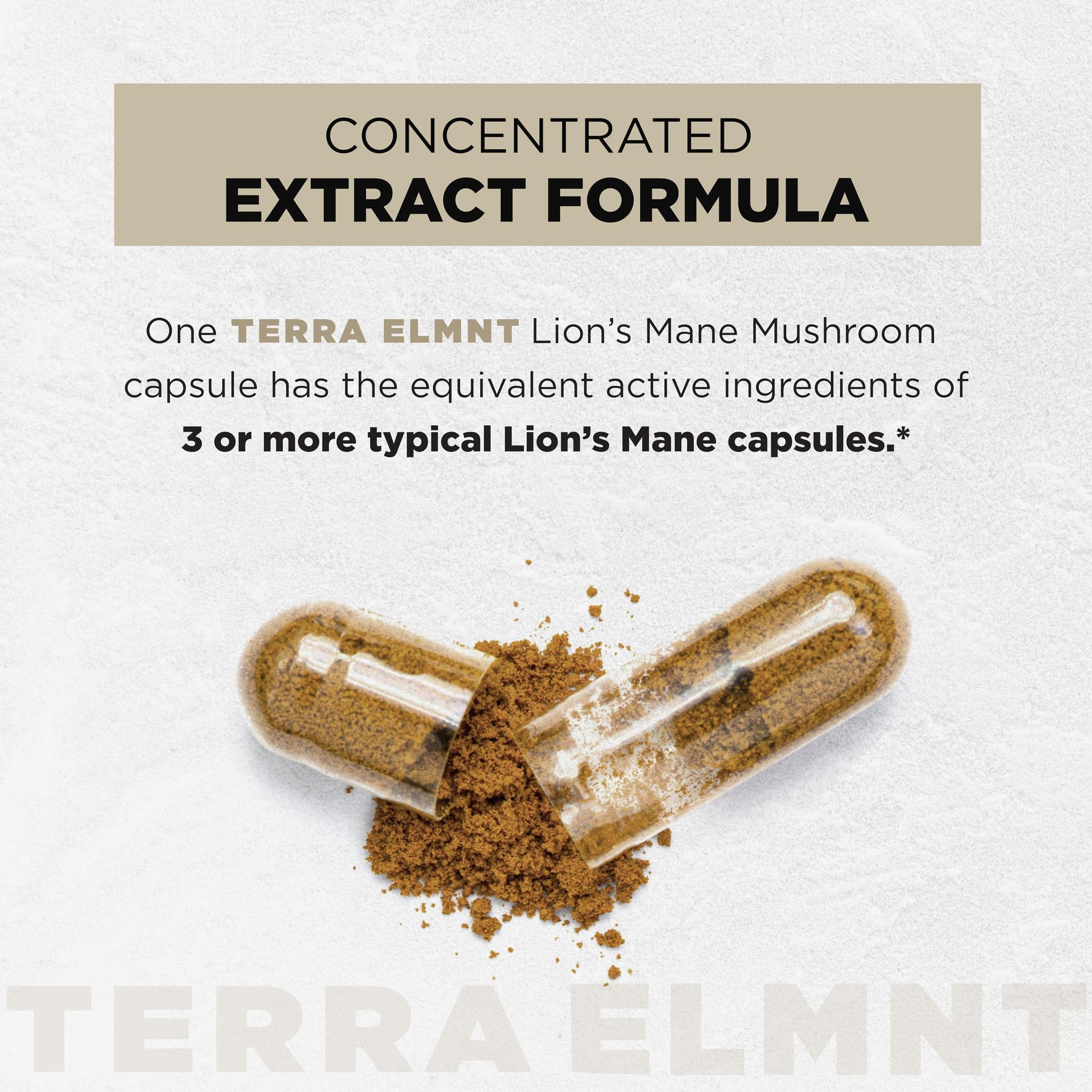 High potency Lion's Mane mushroom extract pills with Ashwagandha and Rhodiola adaptogens.