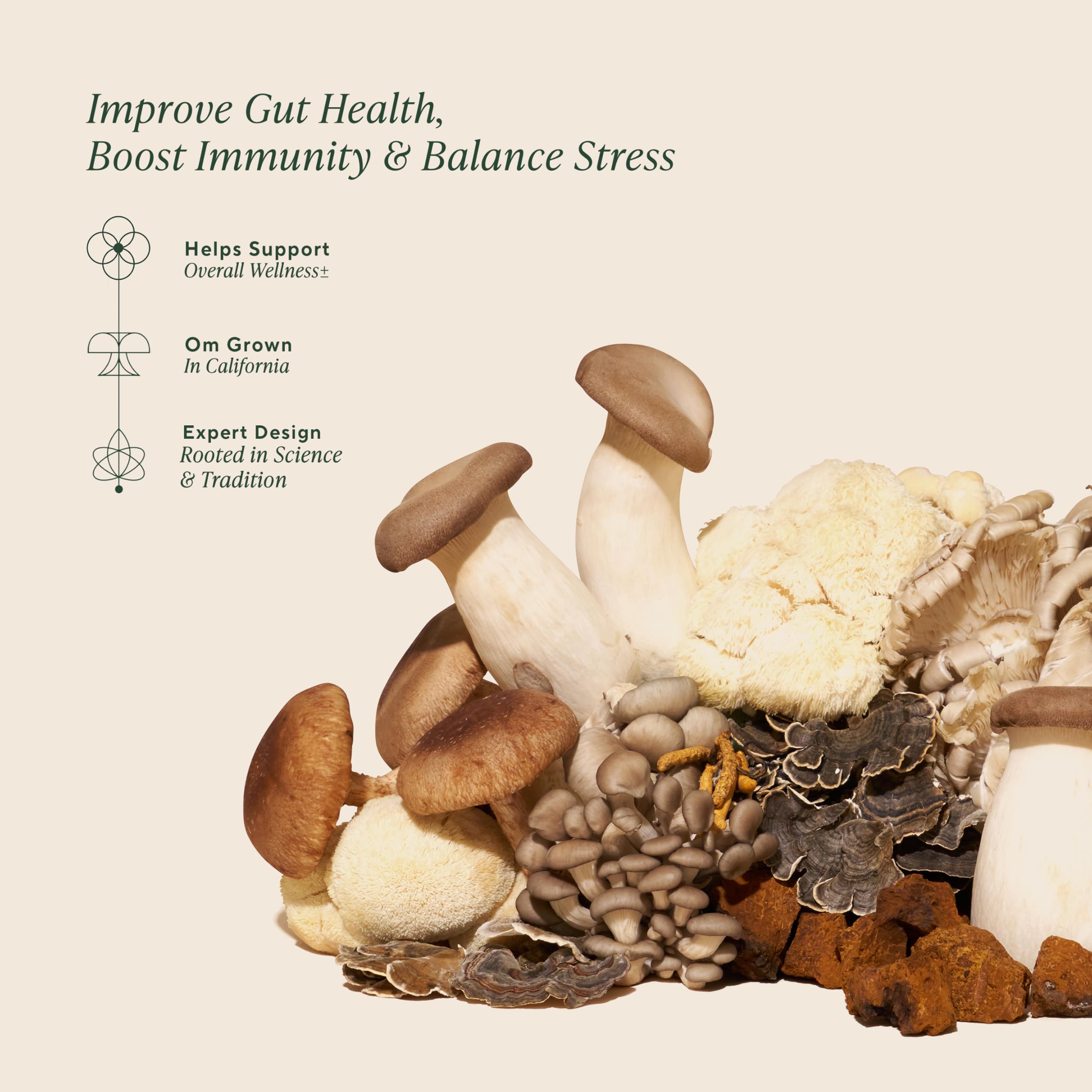 Om Mushroom Master Blend supplement powder container side label detailing the organic ingredients list and nutritional facts.