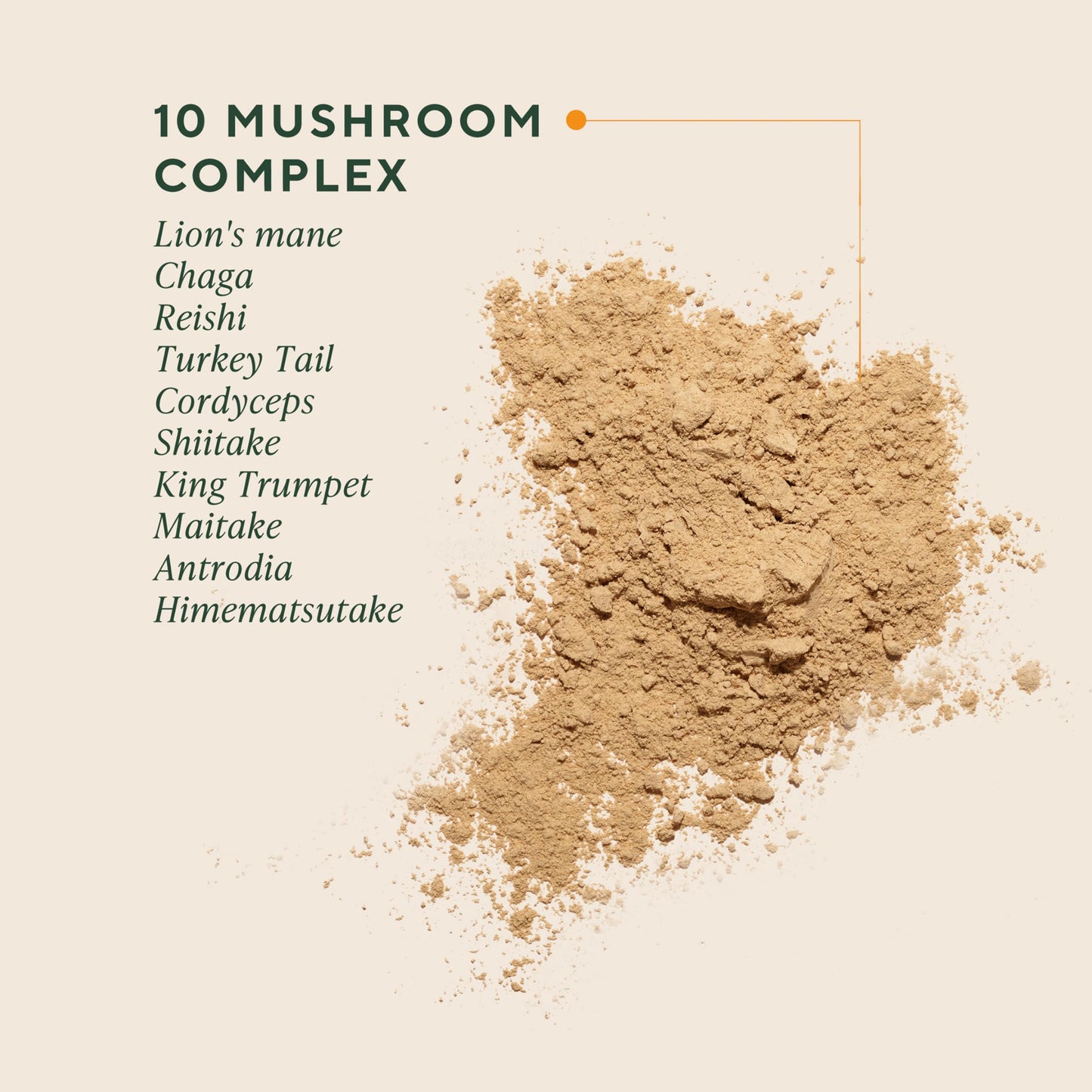 Scoop of authentic Om Mushroom Superfood Master Blend being mixed into a morning cup of coffee for daily wellness.