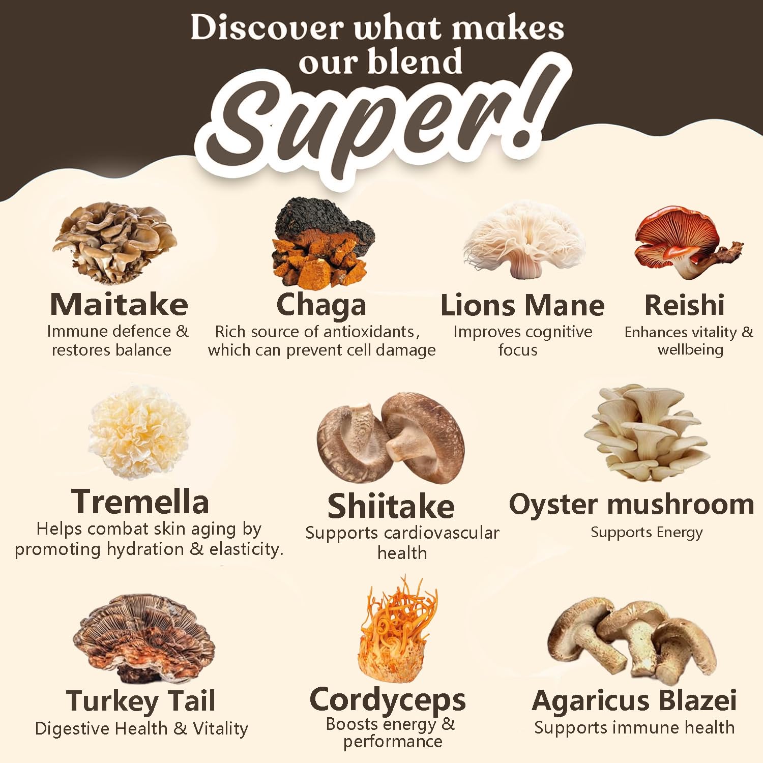 Suiyilary Arabica mushroom coffee supplement powder texture close up