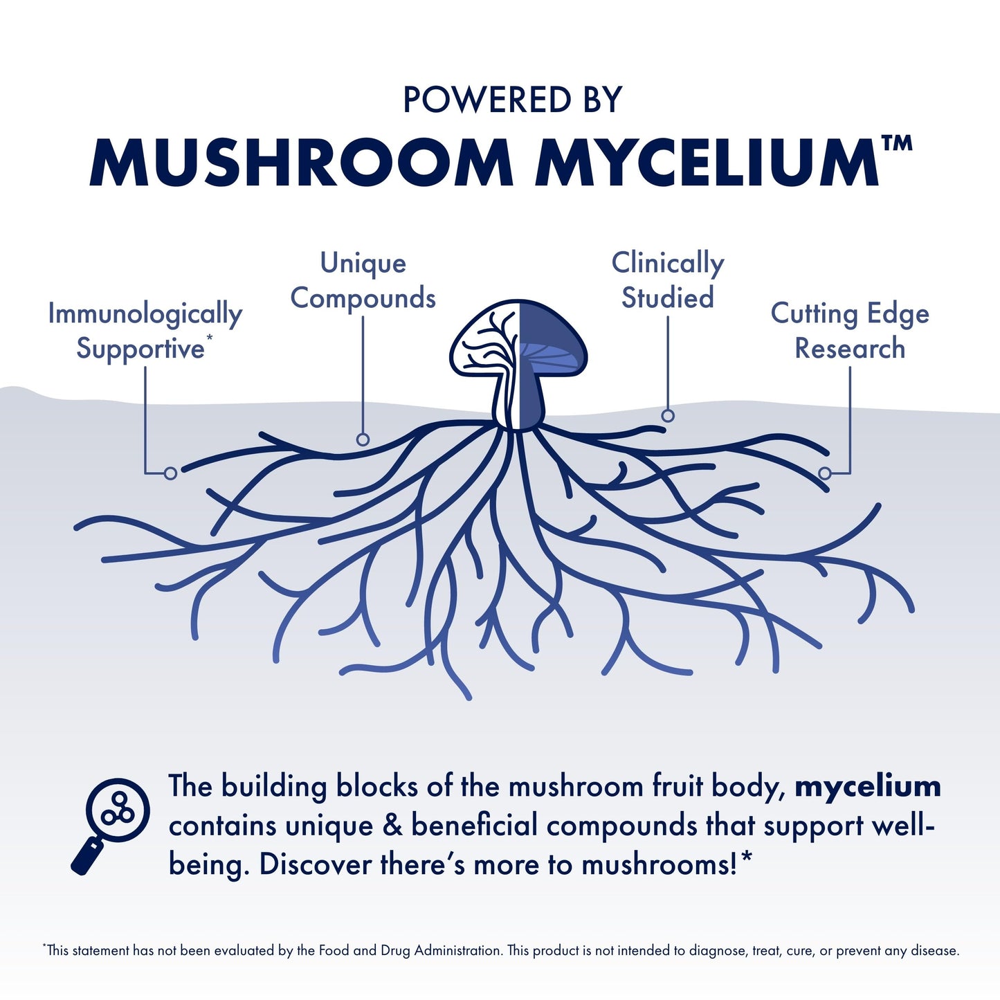 Authentic Host Defense Stamets 7 mushroom mycelium dietary supplement bottle placed upright