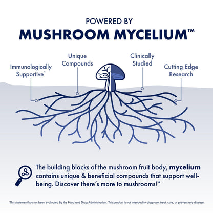 Authentic Host Defense Stamets 7 mushroom mycelium dietary supplement bottle placed upright