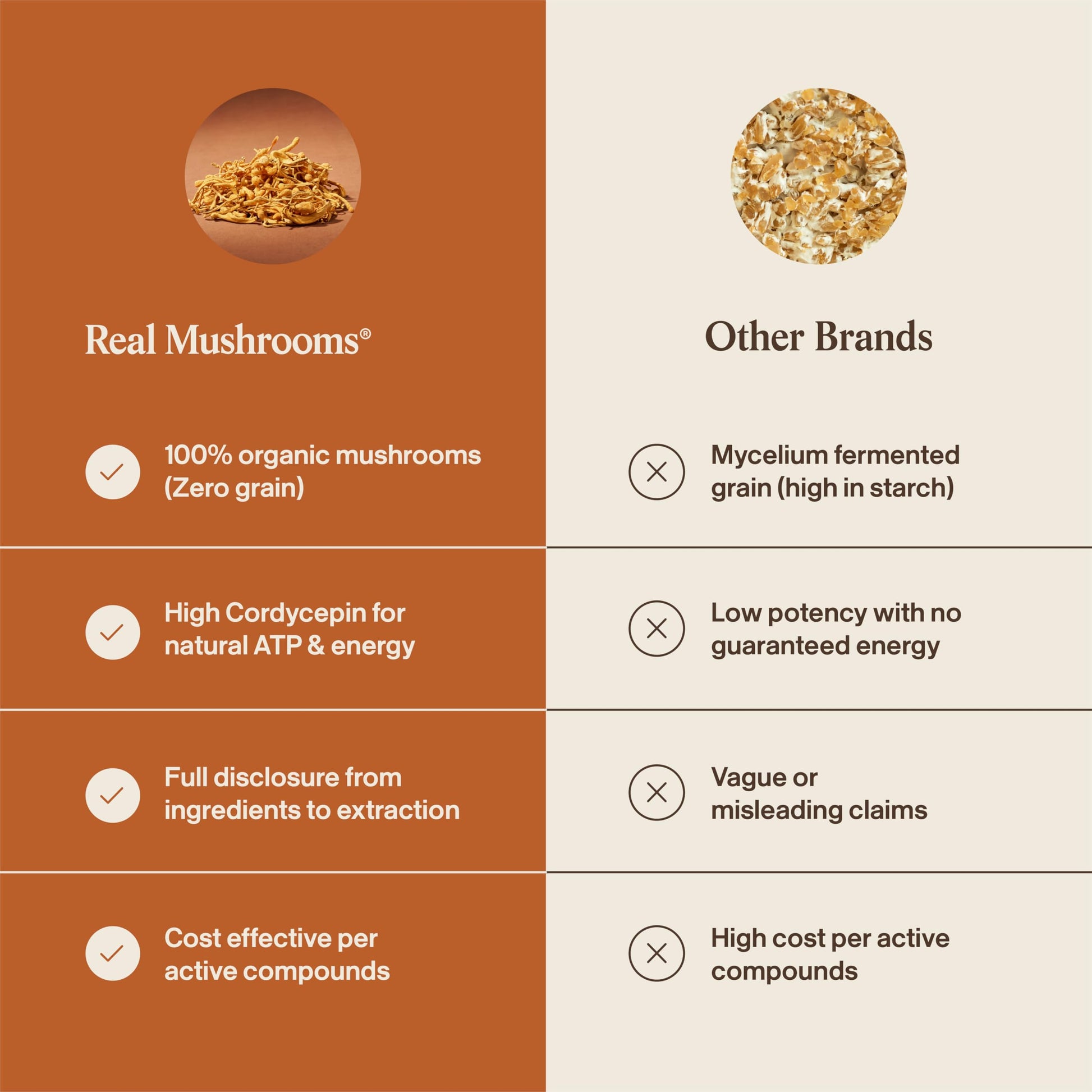 Real Mushrooms Cordyceps extract nutritional information and zero grain filler assurance