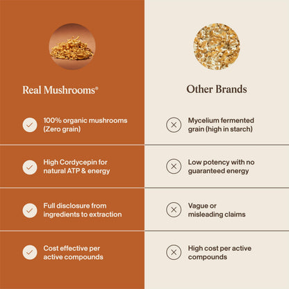 Real Mushrooms Cordyceps extract nutritional information and zero grain filler assurance