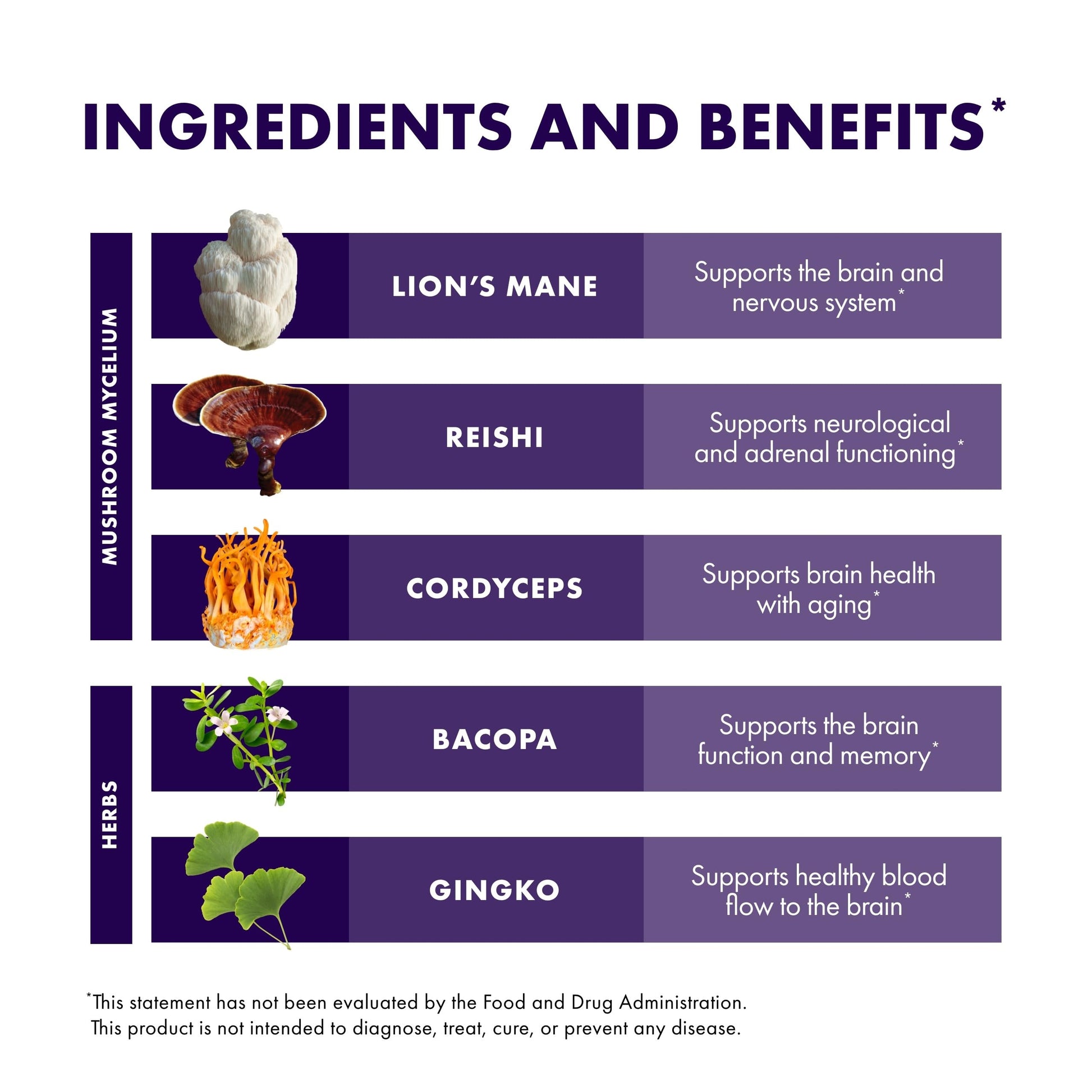 Host Defense MycoBotanicals Brain formula supplement facts panel and recommended dosage instructions