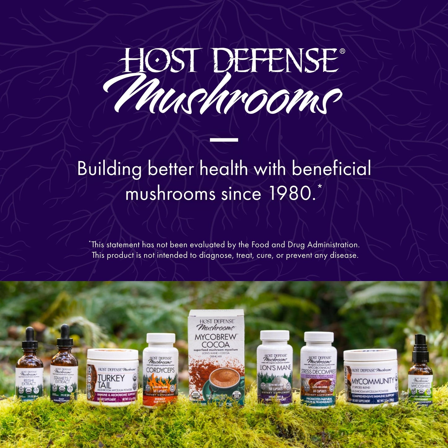 Paul Stamets Host Defense Brain capsules close up view of premium wellness supplement