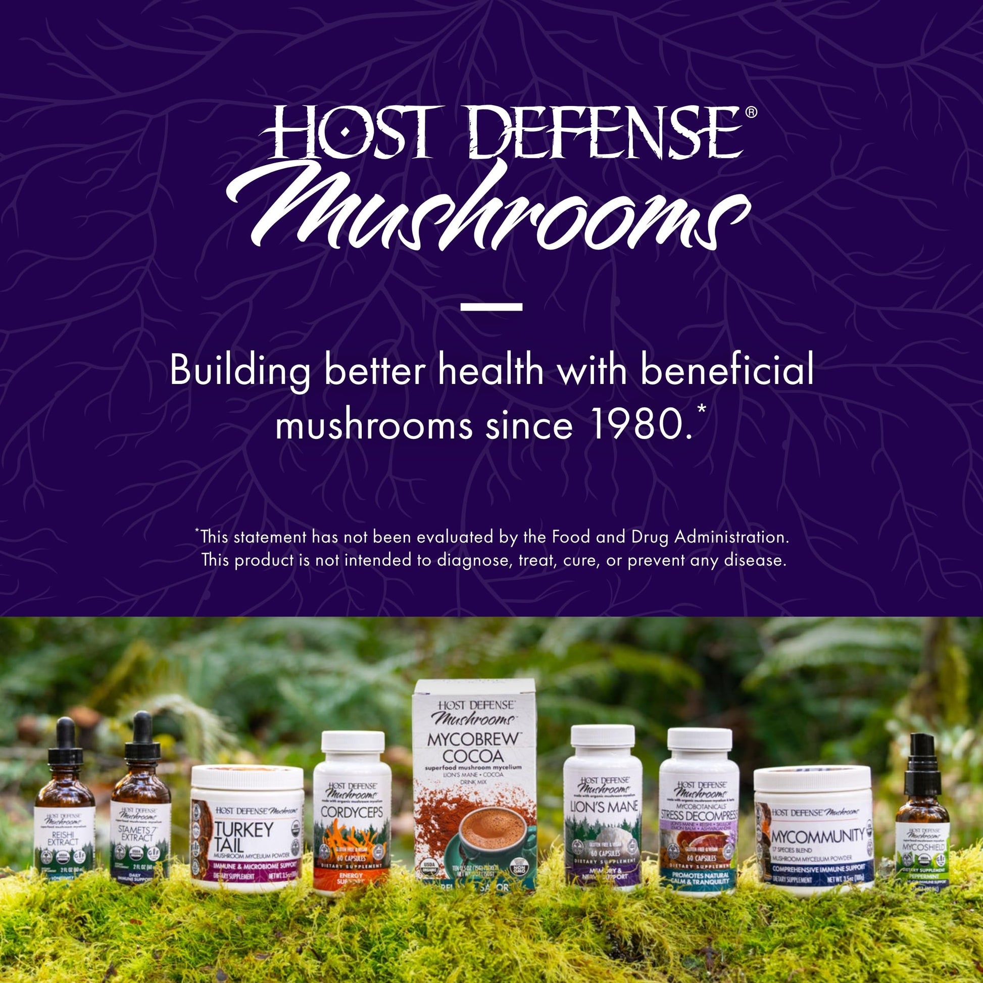 Paul Stamets Host Defense Brain capsules close up view of premium wellness supplement