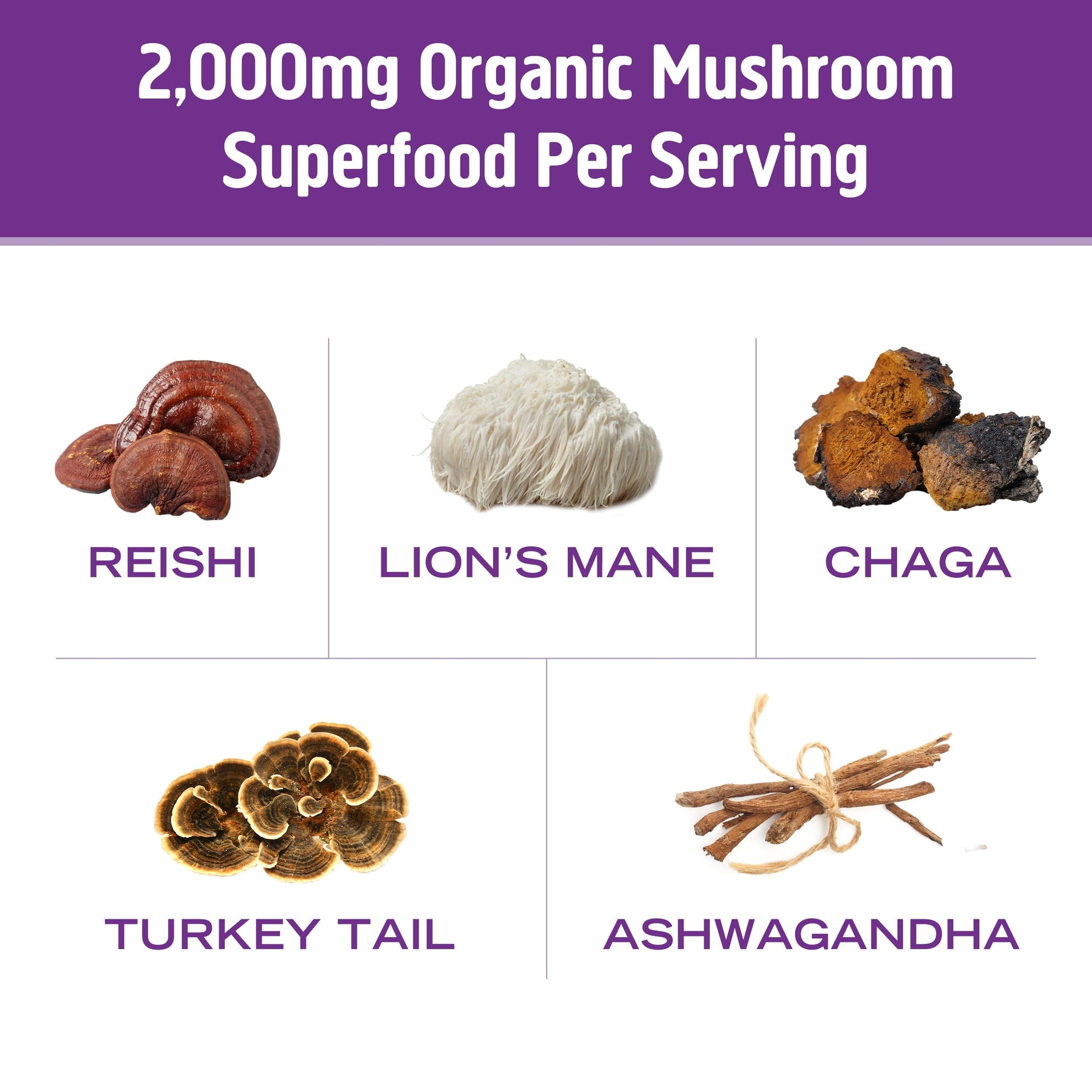 USA imported wellness mushroom hot chocolate mix serving suggestions